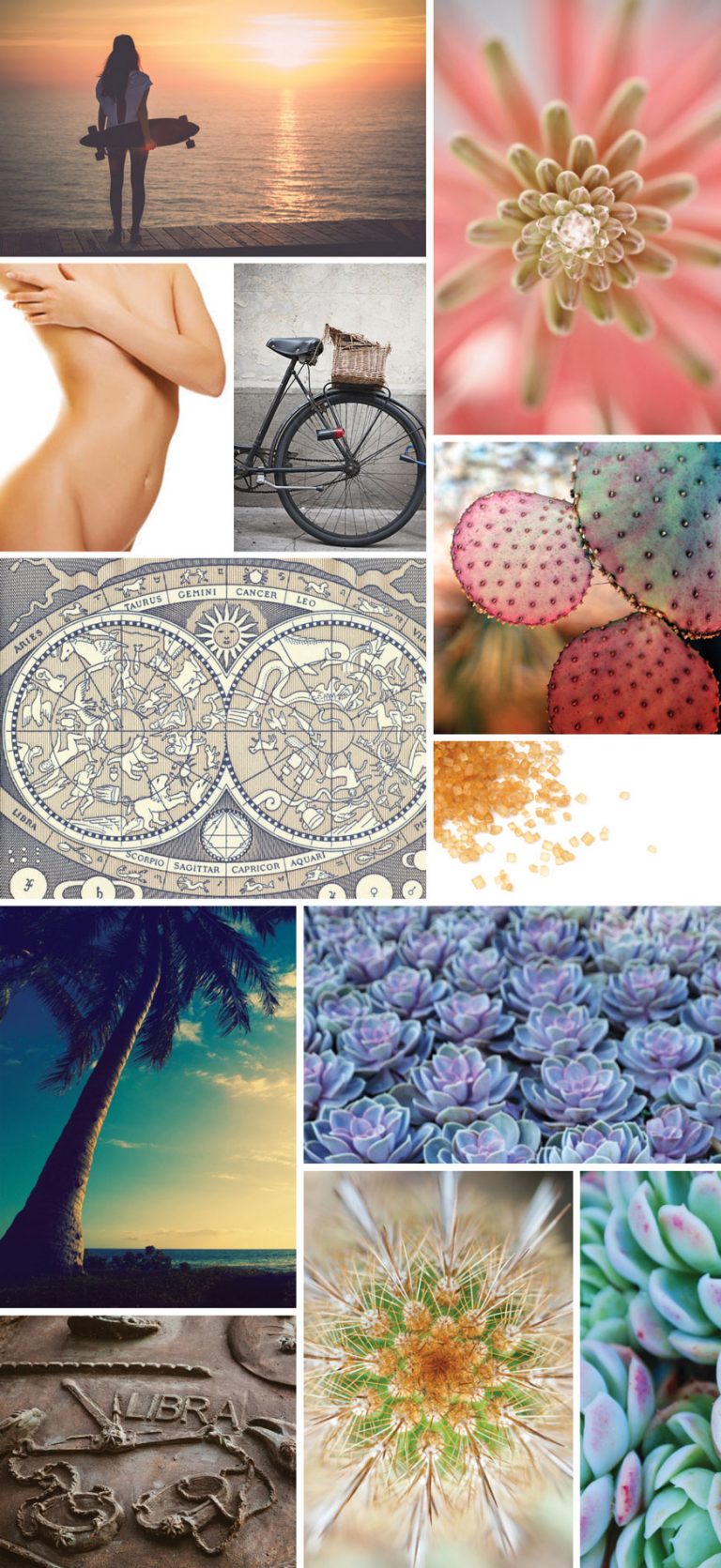 sugar studio california 2 Half Rabbit Design